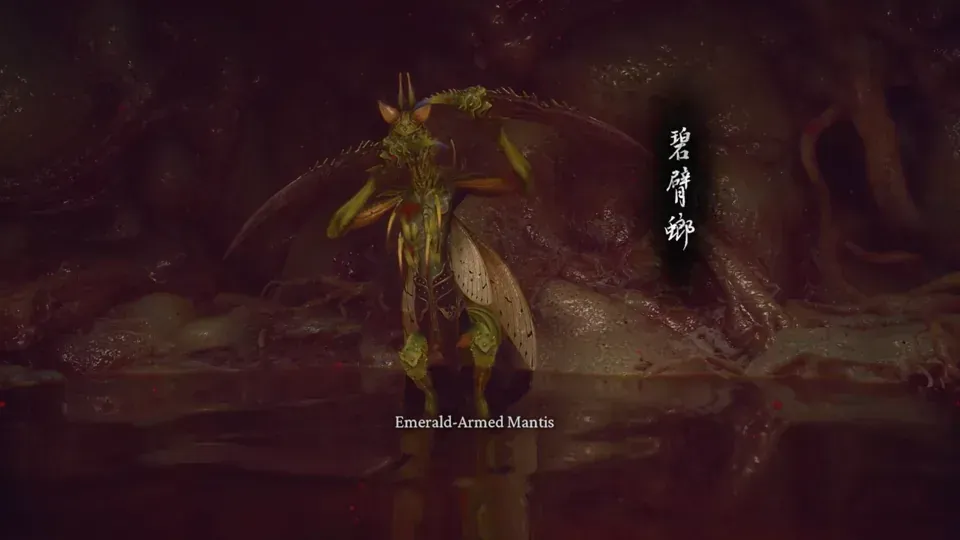 Emerald-Armed Mantis