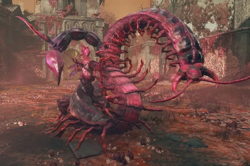 Romina, Santa do Broto